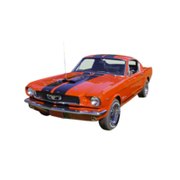 Mustang